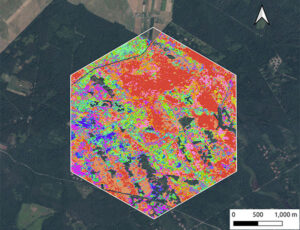 Polish Researchers Develop Unsupervised Classification Technique to Assess Forest Diversity and Resilience